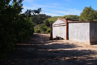 Enlarge photo 327