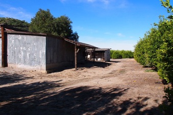 Enlarge photo 329