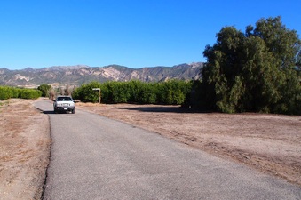 Enlarge photo 336