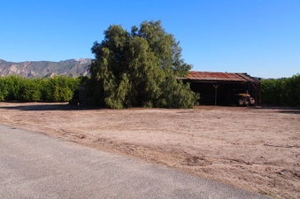 Enlarge photo 337