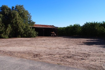 Enlarge photo 338