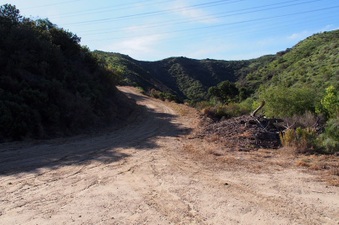 Enlarge photo 339