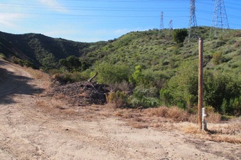 Enlarge photo 340