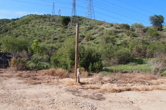 Enlarge photo 341