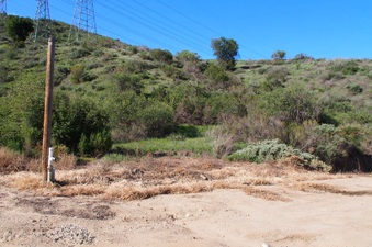 Enlarge photo 342