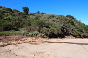 Enlarge photo 343