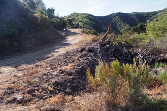 Enlarge photo 344