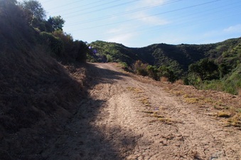 Enlarge photo 345