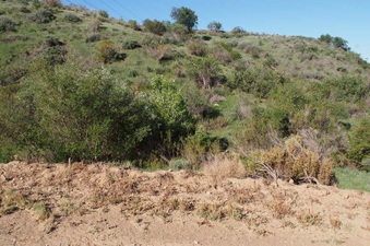 Enlarge photo 346