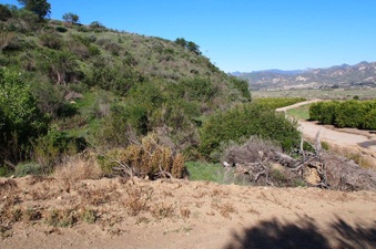 Enlarge photo 347