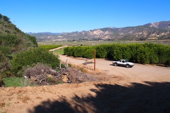 Enlarge photo 348