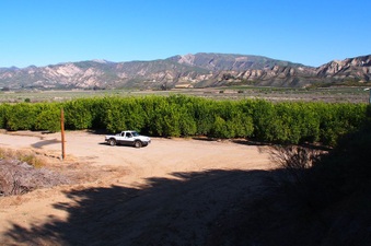 Enlarge photo 349