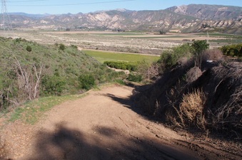 Enlarge photo 351