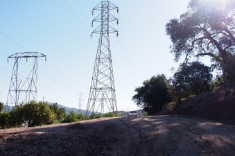 Enlarge photo 352