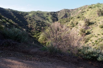 Enlarge photo 353