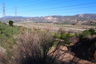 Enlarge photo 354
