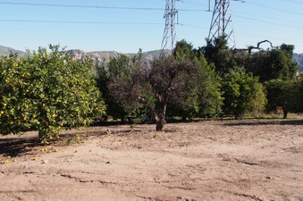 Enlarge photo 356