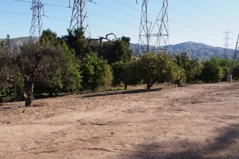 Enlarge photo 357
