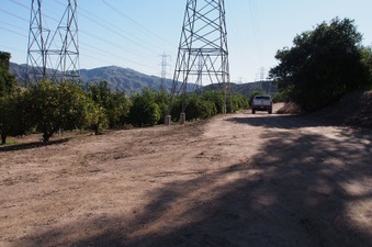 Enlarge photo 358