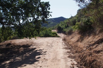 Enlarge photo 359