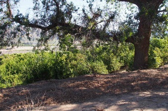 Enlarge photo 361