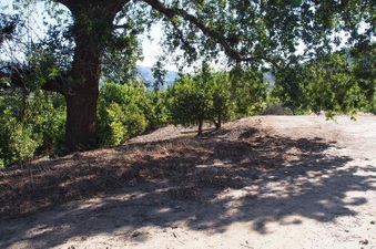 Enlarge photo 362