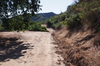 Enlarge photo 363