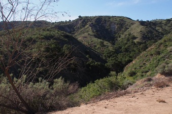Enlarge photo 368