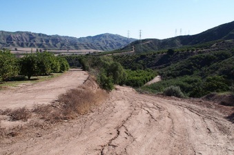 Enlarge photo 371