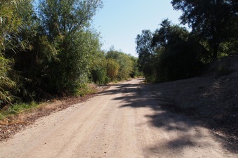 Enlarge photo 372