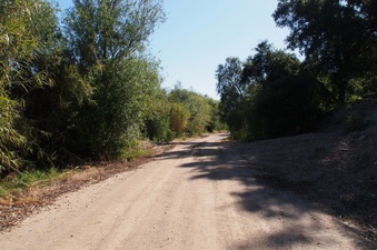 Enlarge photo 373