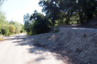 Enlarge photo 374