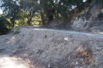 Enlarge photo 375