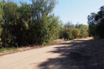Enlarge photo 376