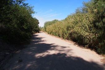 Enlarge photo 377