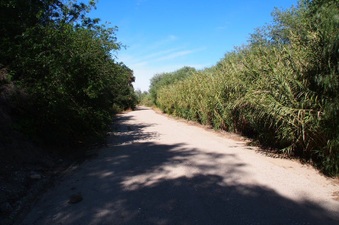 Enlarge photo 378