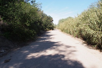 Enlarge photo 379