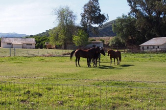 Enlarge photo 382