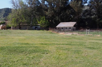 Enlarge photo 383