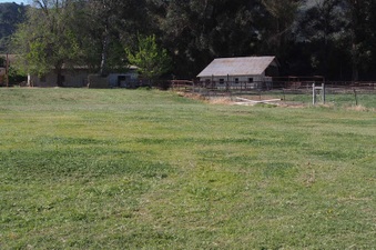 Enlarge photo 384