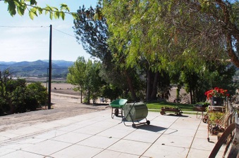 Enlarge photo 389