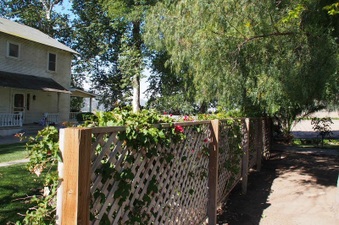 Enlarge photo 392