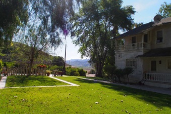 Enlarge photo 394