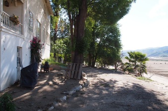 Enlarge photo 399