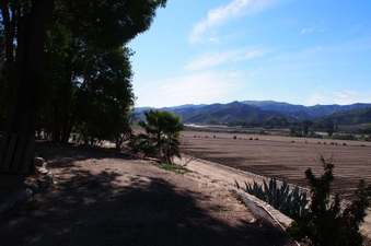 Enlarge photo 400