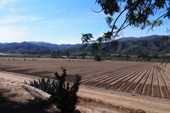 Enlarge photo 401