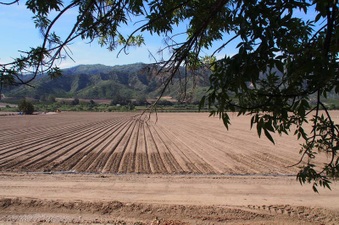 Enlarge photo 402