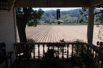 Enlarge photo 421