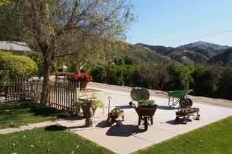 Enlarge photo 424