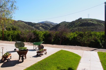 Enlarge photo 425